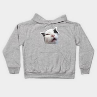 Cat confused Kids Hoodie